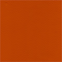 Delta Vinyl Upholstery Fabric